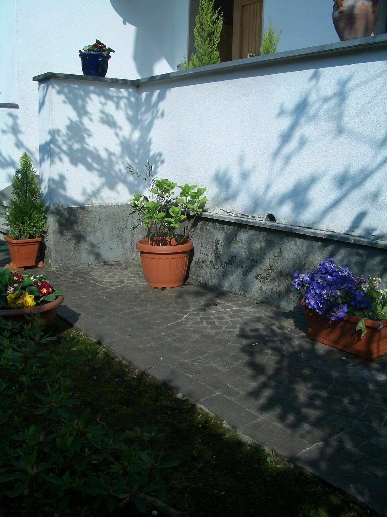 B&B Lucca Porta Sant'Anna Exterior foto
